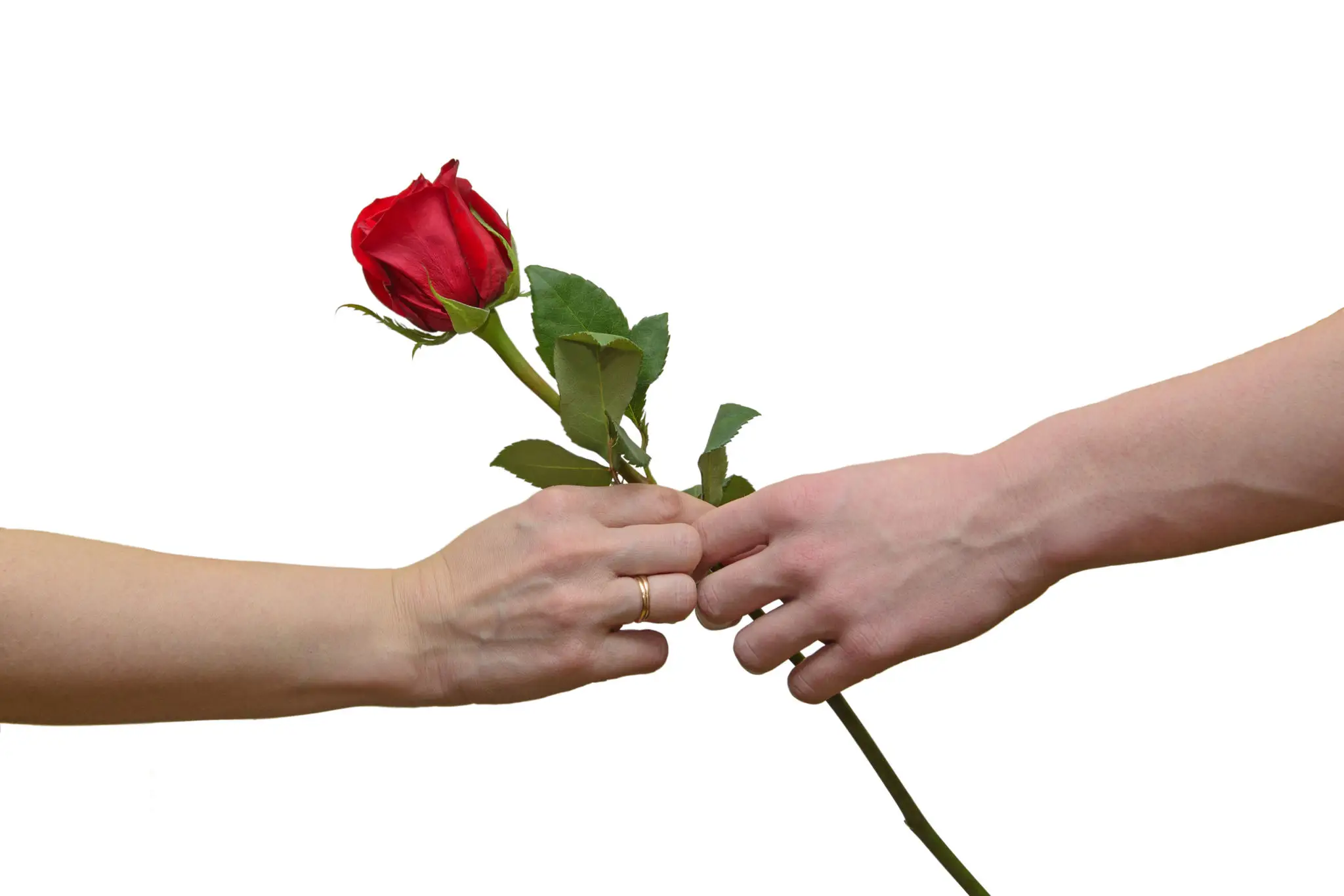 gettyimages-167085285-2048x2048