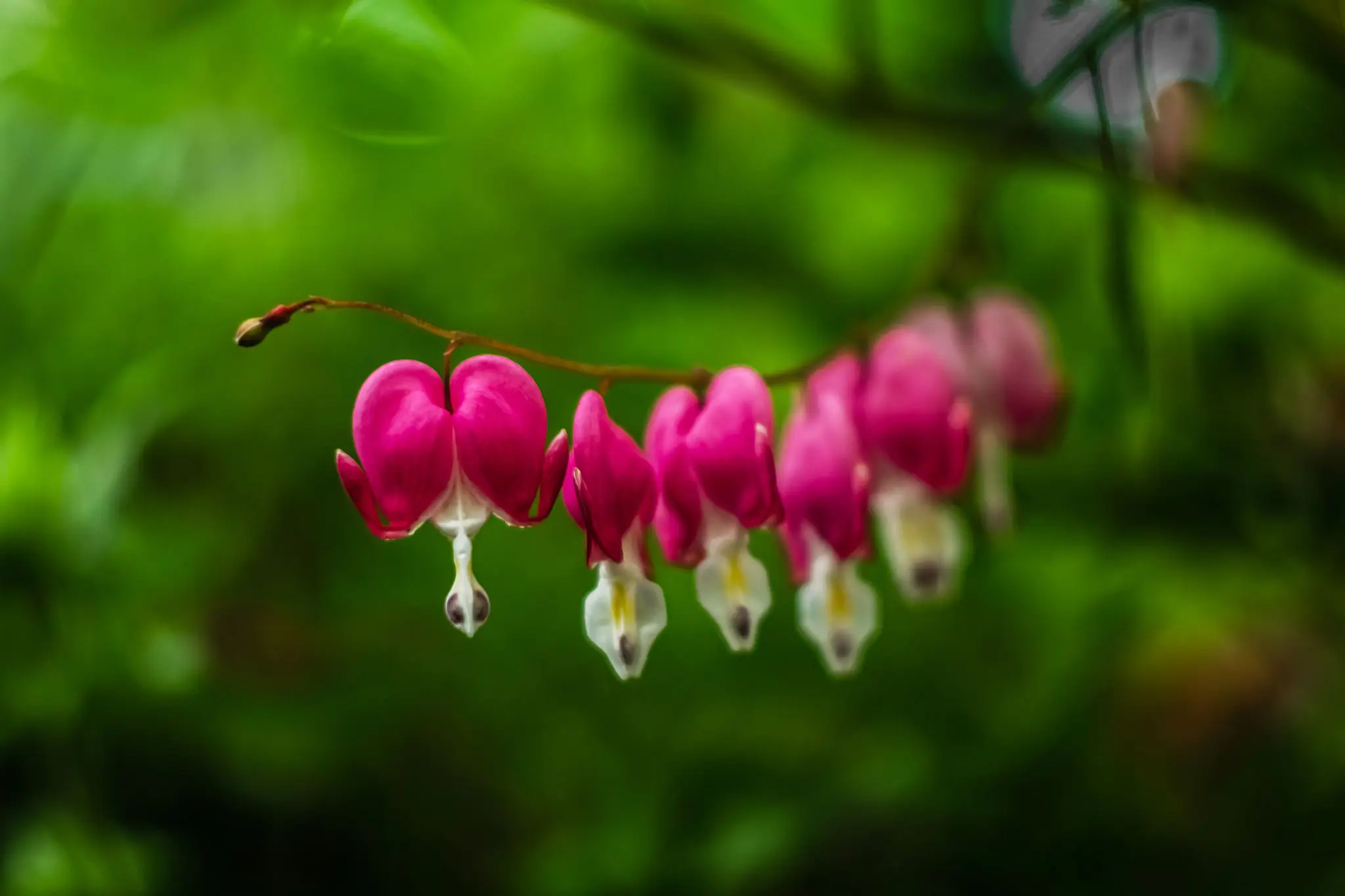 gettyimages-2228306886-2048x2048